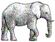 elephant.GIF